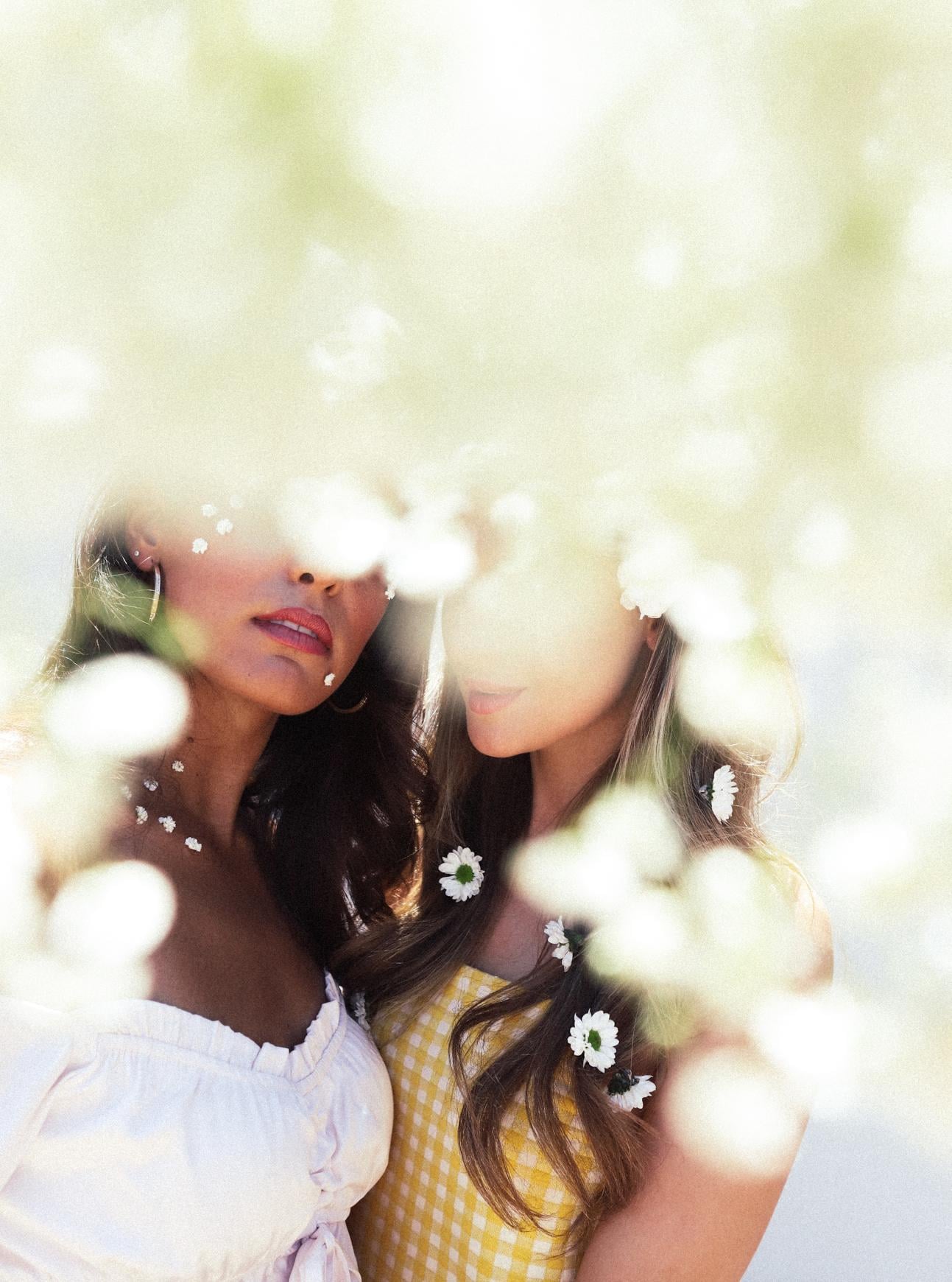Bloom - image 2 - student project