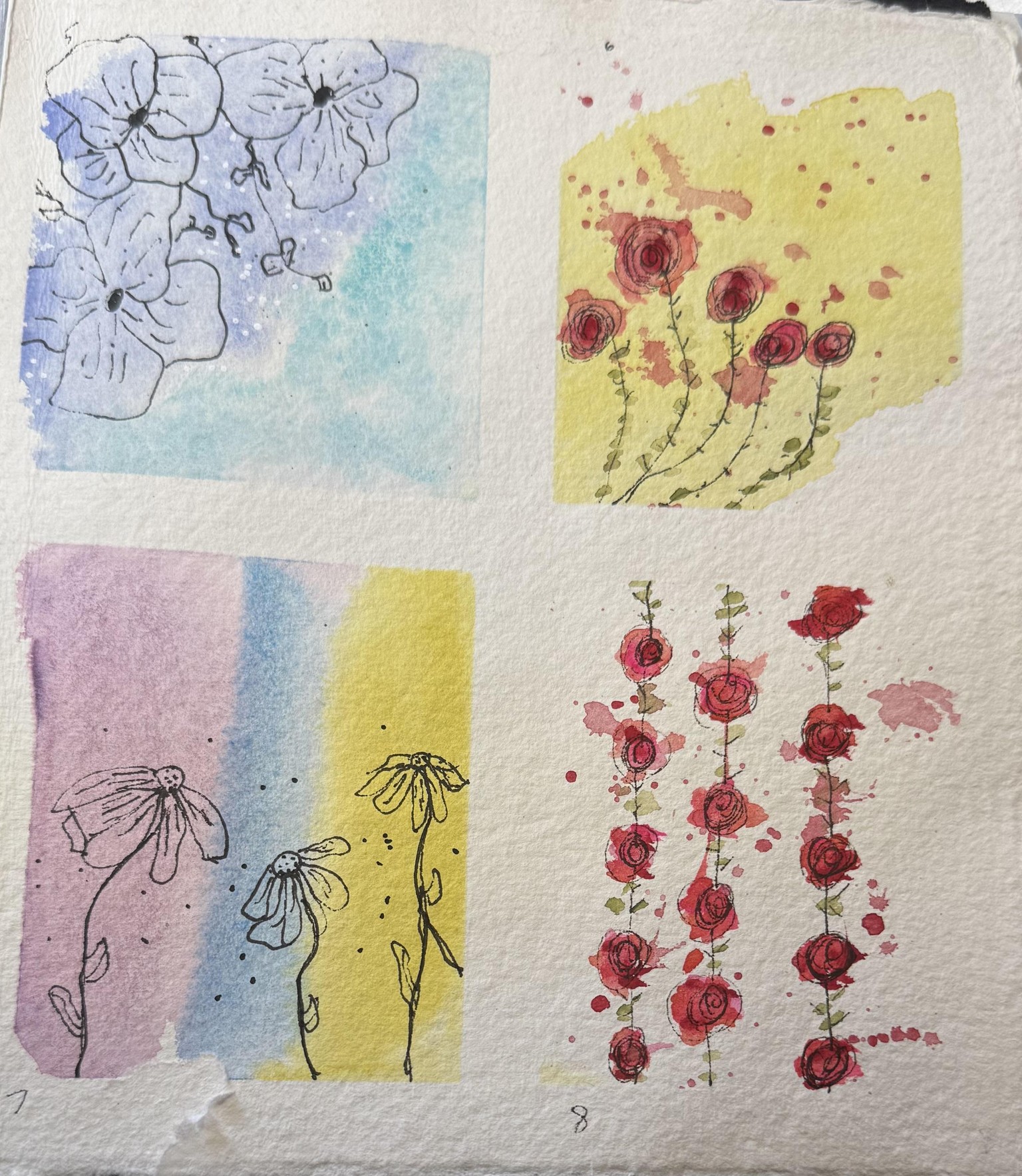 Watercolor & Ink Botanicals - image 3 - student project