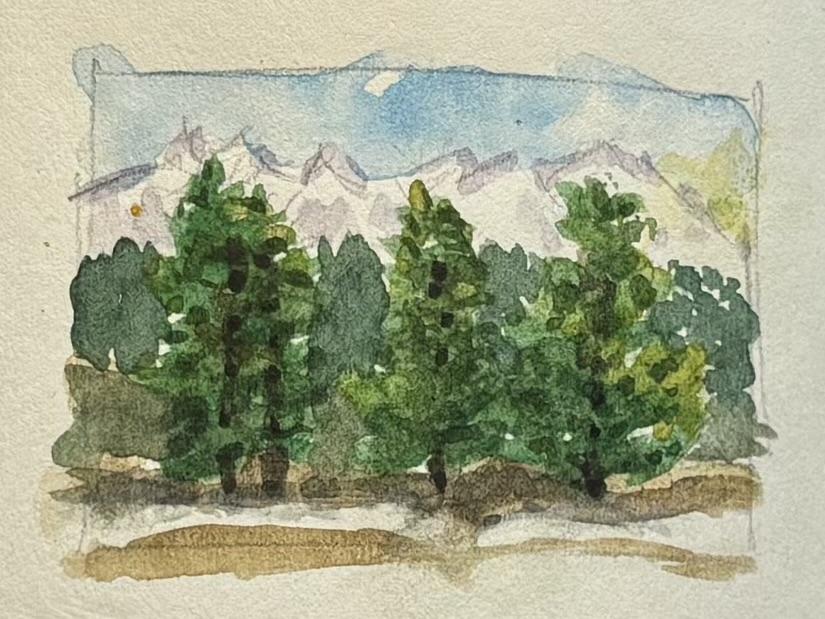 Natural Explorer - image 1 - student project