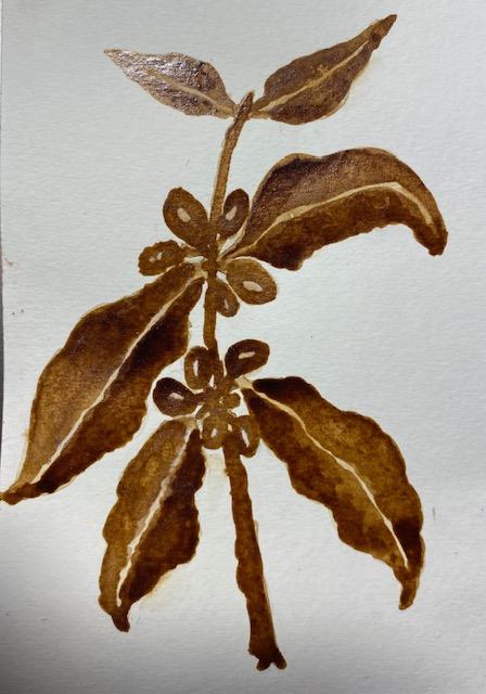 Coffee Painting - image 1 - student project