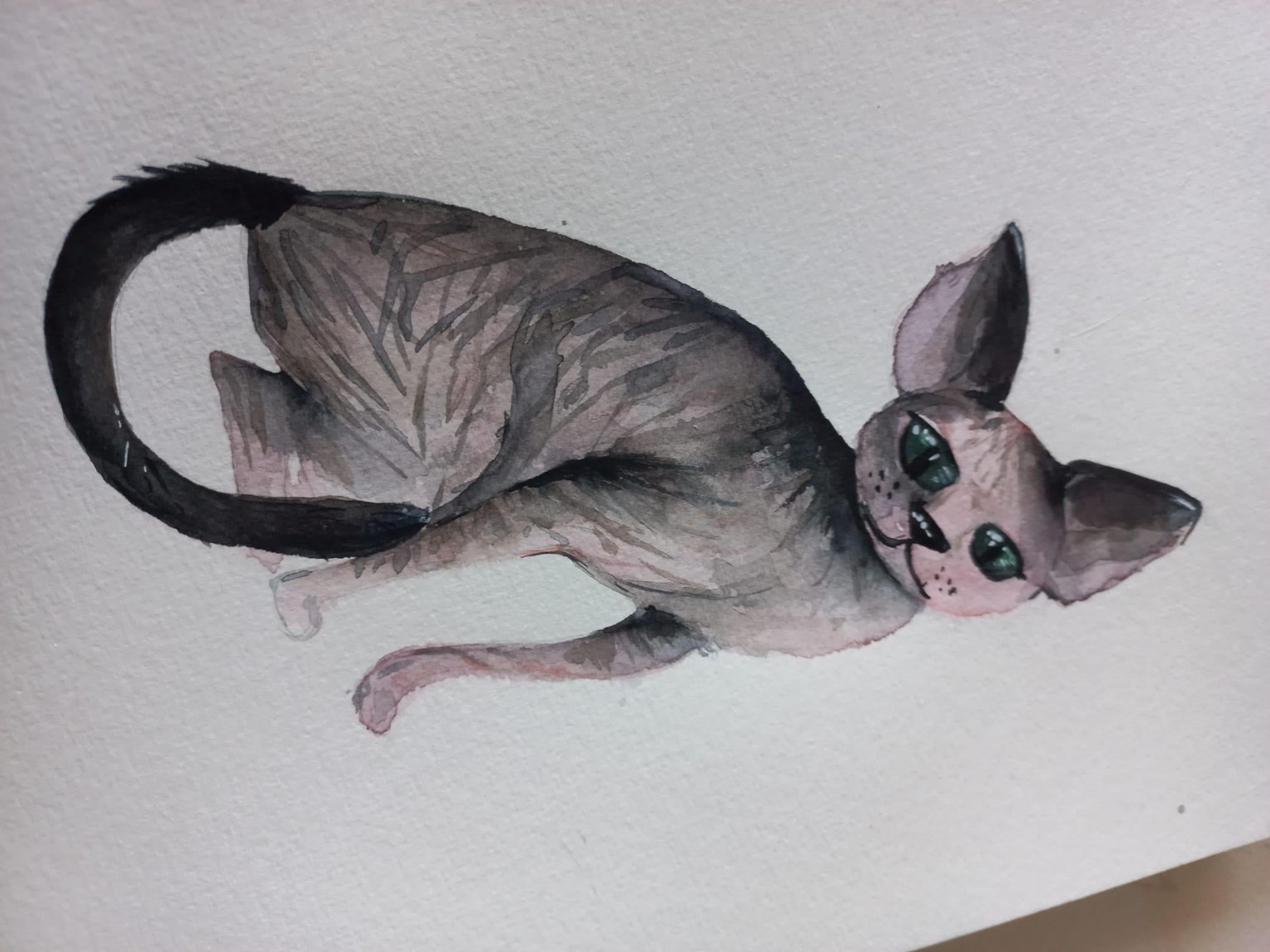 my cats - image 2 - student project