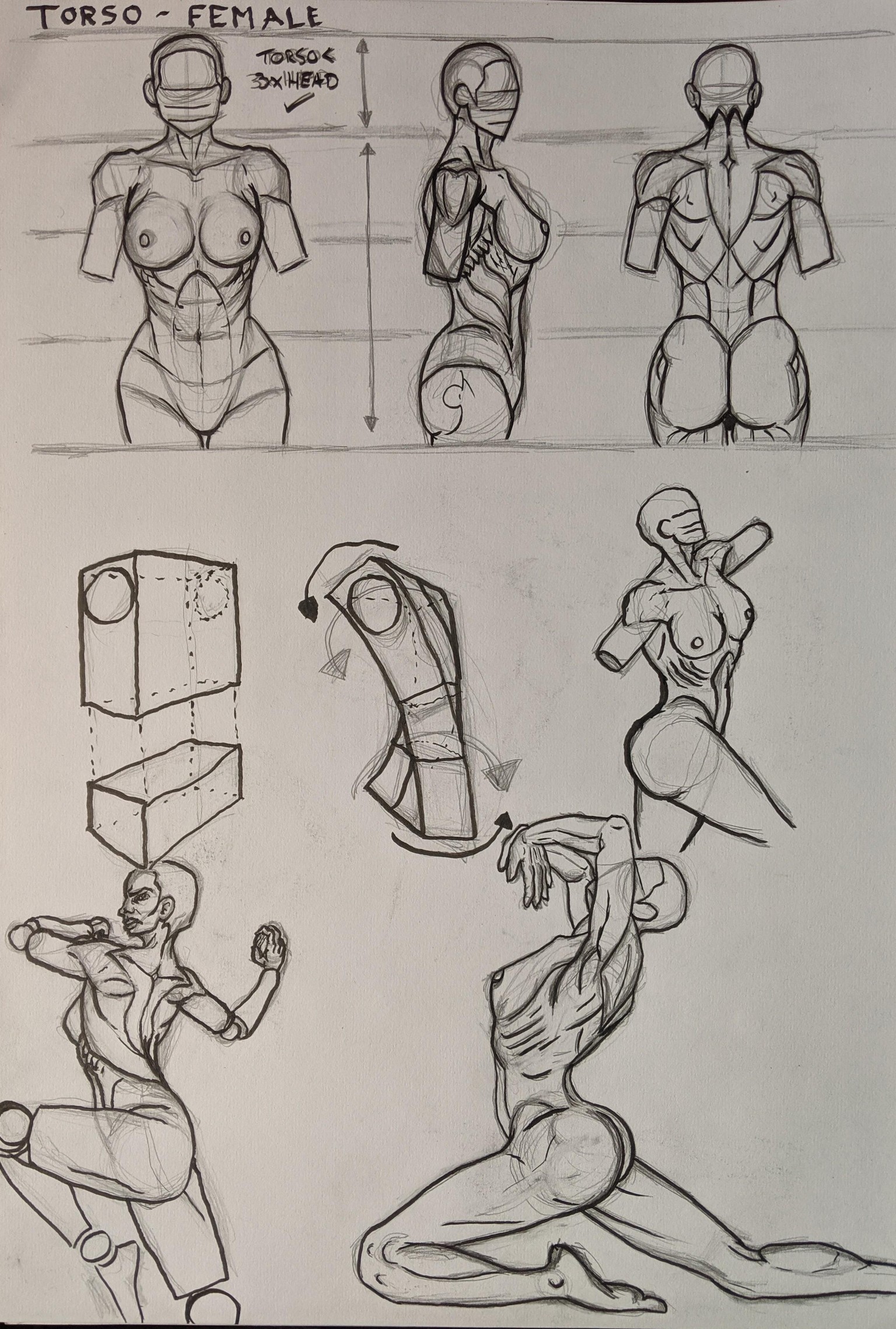 KP Female figure class - image 2 - student project