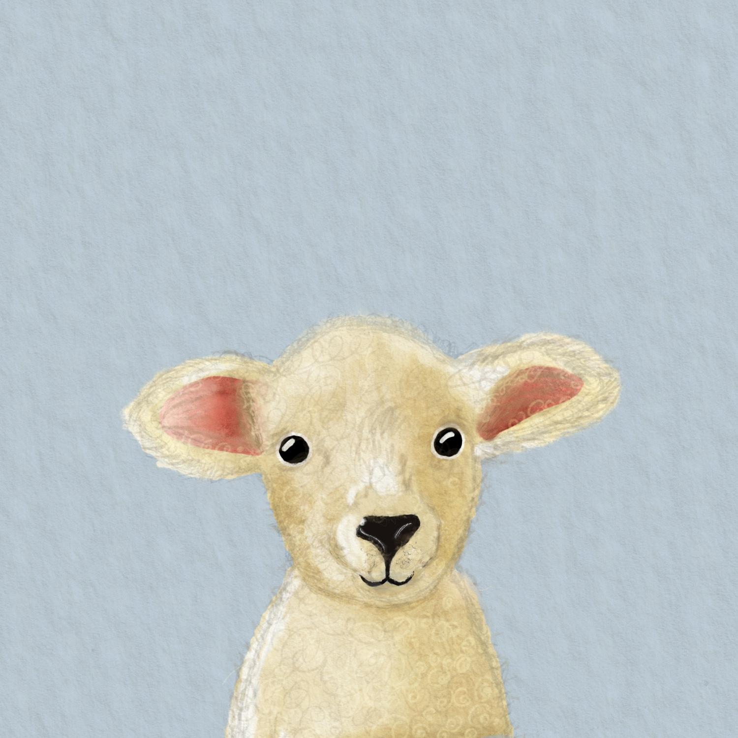 Cute little Lamb - image 1 - student project
