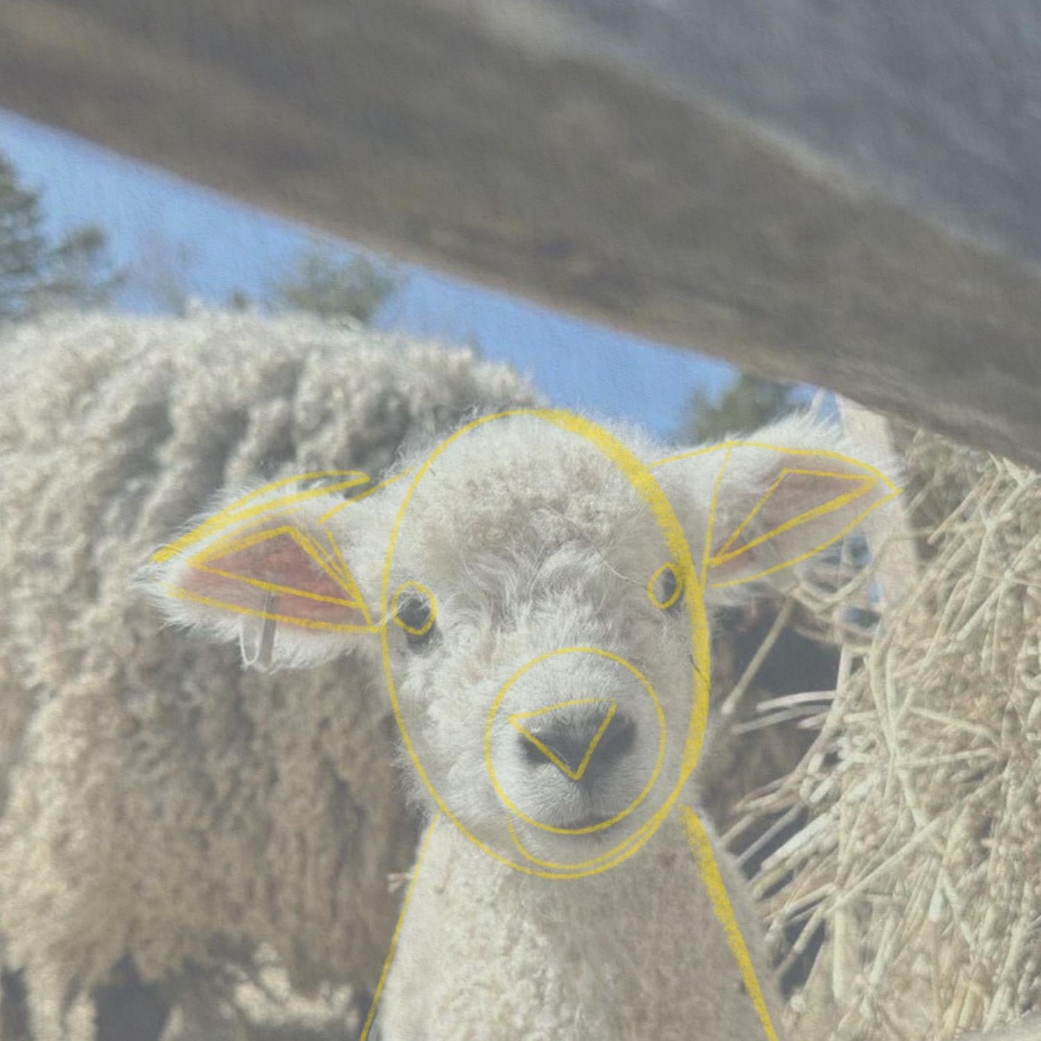 Cute little Lamb - image 2 - student project
