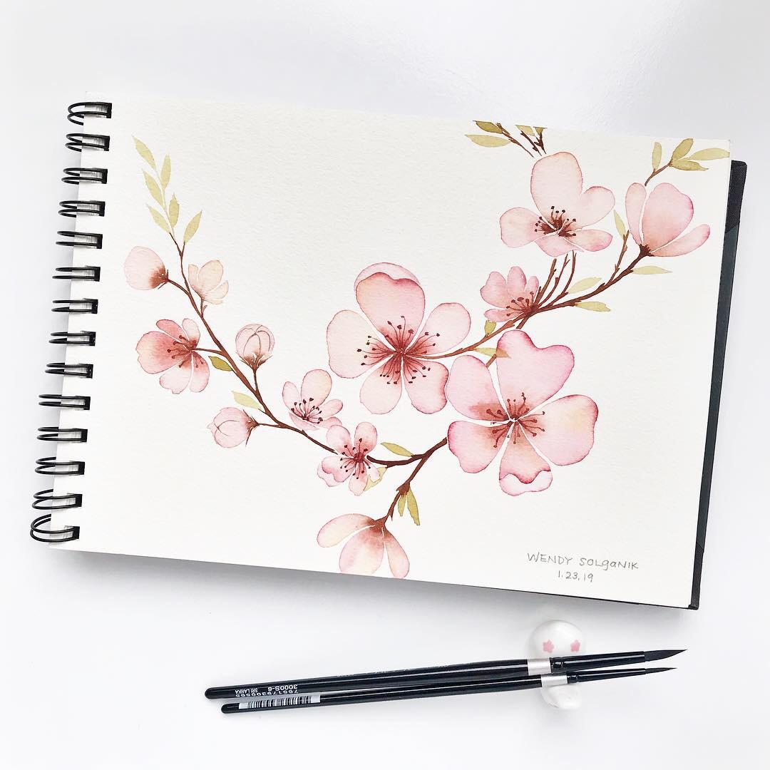 My First Cherry Blossoms - image 1 - student project