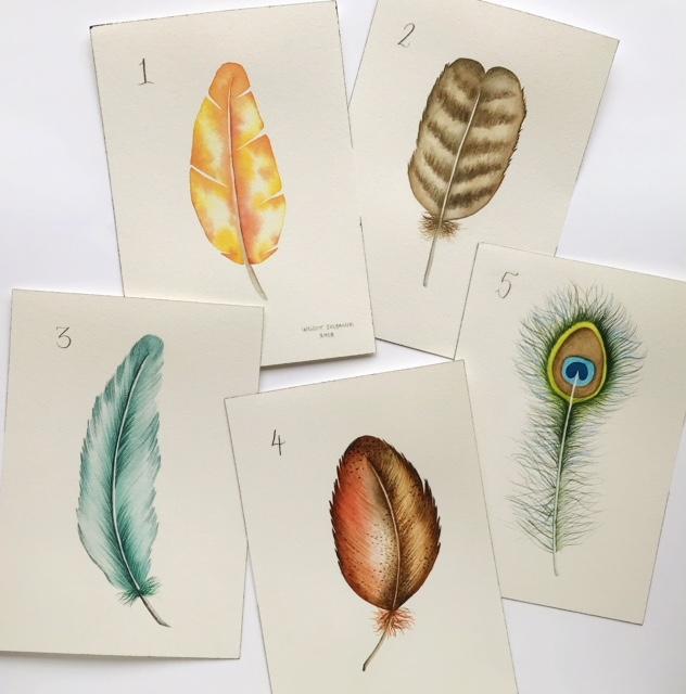 Feather Mania! - image 4 - student project