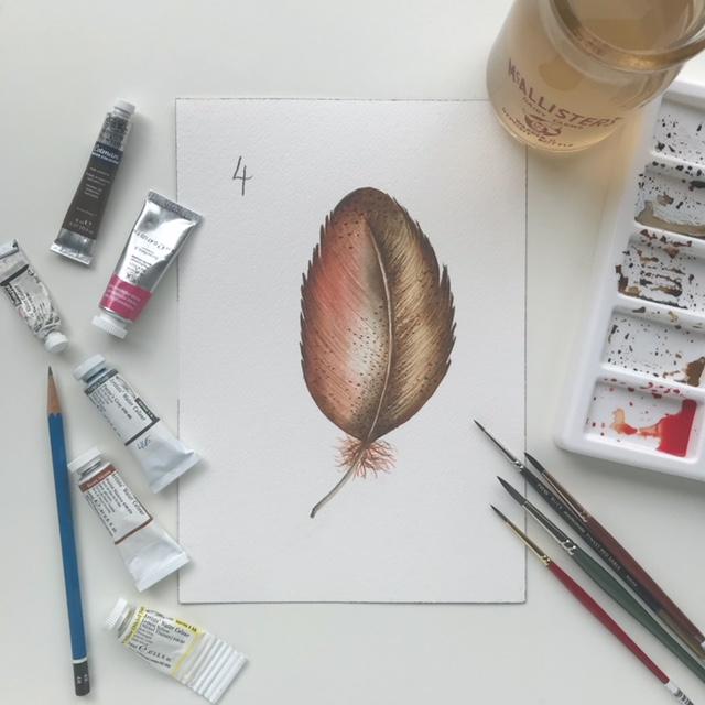 Feather Mania! - image 1 - student project