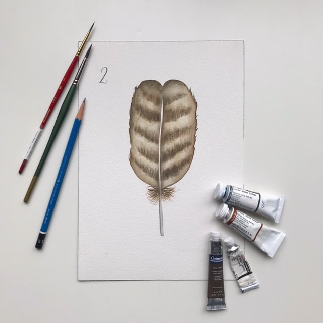 Feather Mania! - image 6 - student project