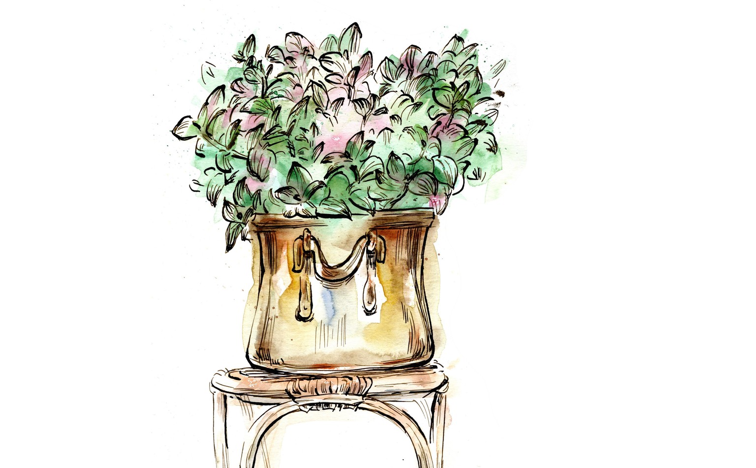 My Plants - image 2 - student project