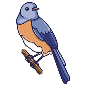Fun Western Bluebird Sticker - image 3 - student project