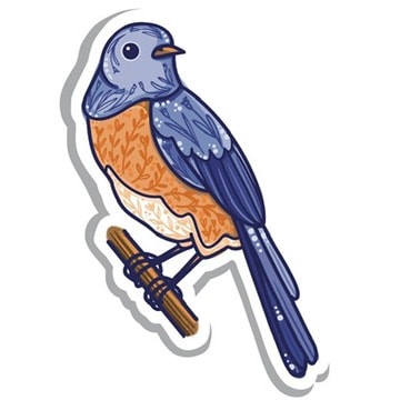 Fun Western Bluebird Sticker - image 4 - student project