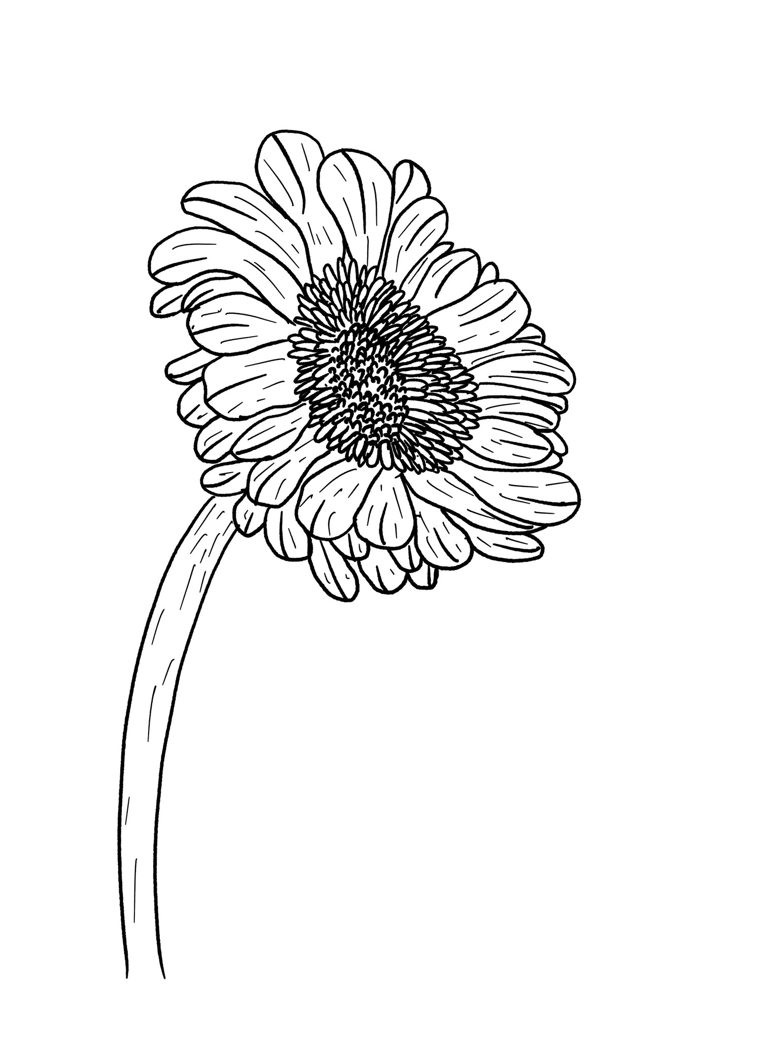 My Gerbera Assembly - image 4 - student project