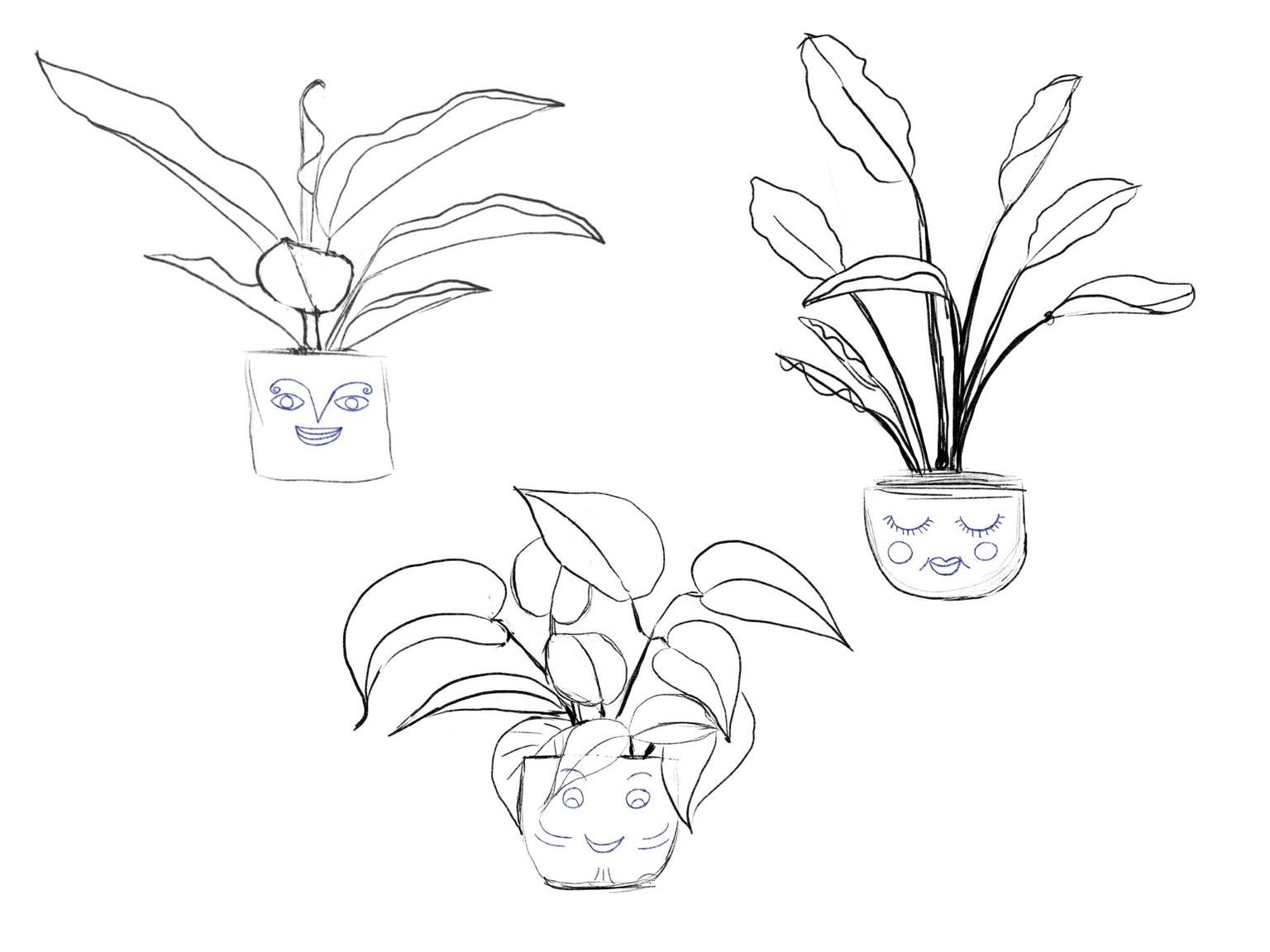 My Potted Art Collection - image 5 - student project
