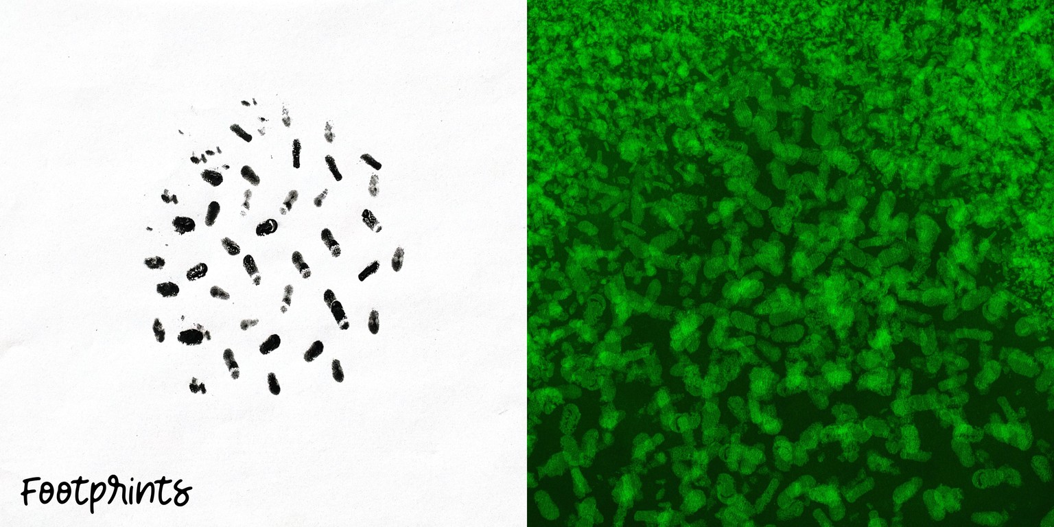 My Texture Brushes Creative Process - image 2 - student project