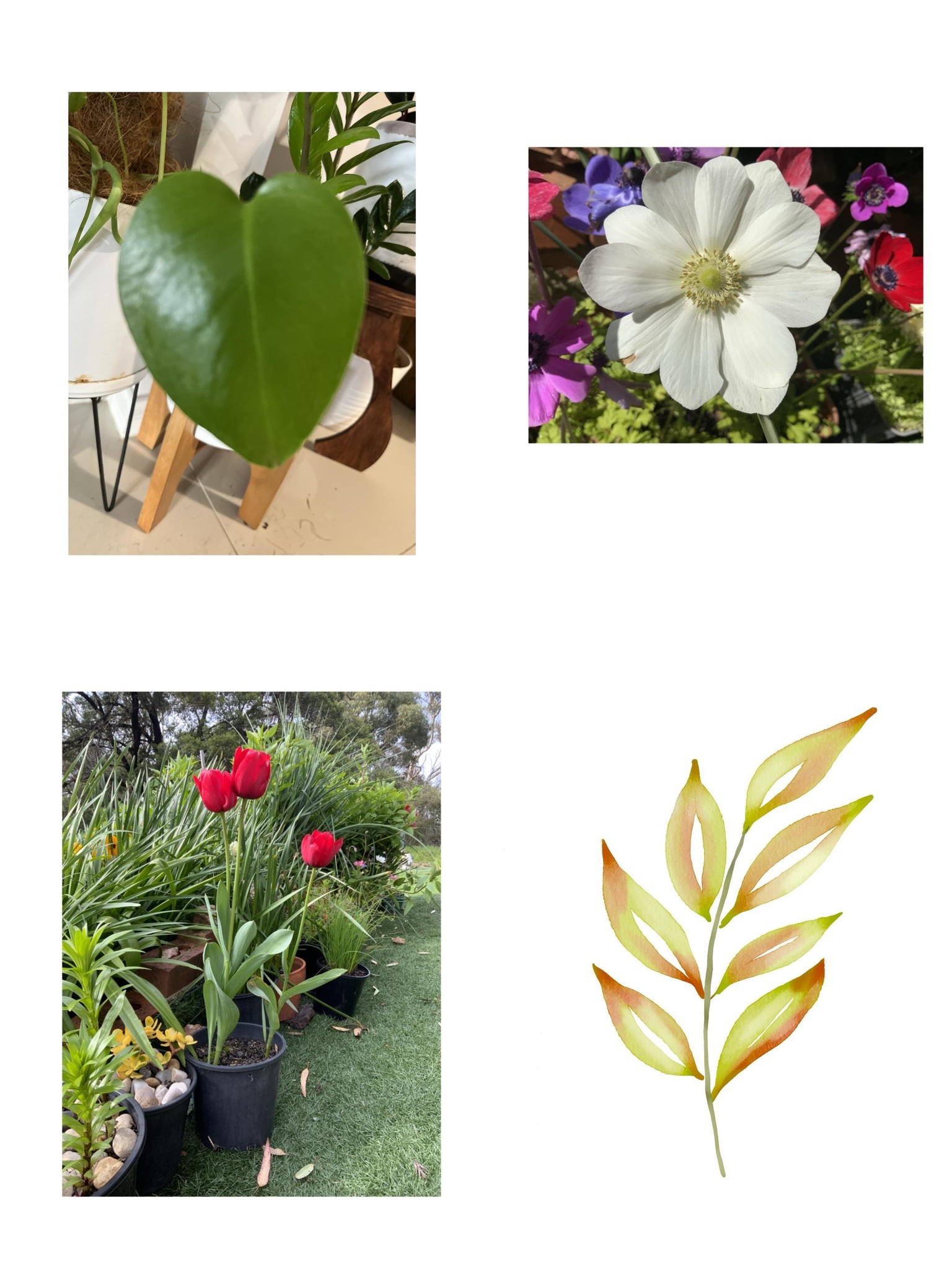 My Garden Stamps - image 3 - student project