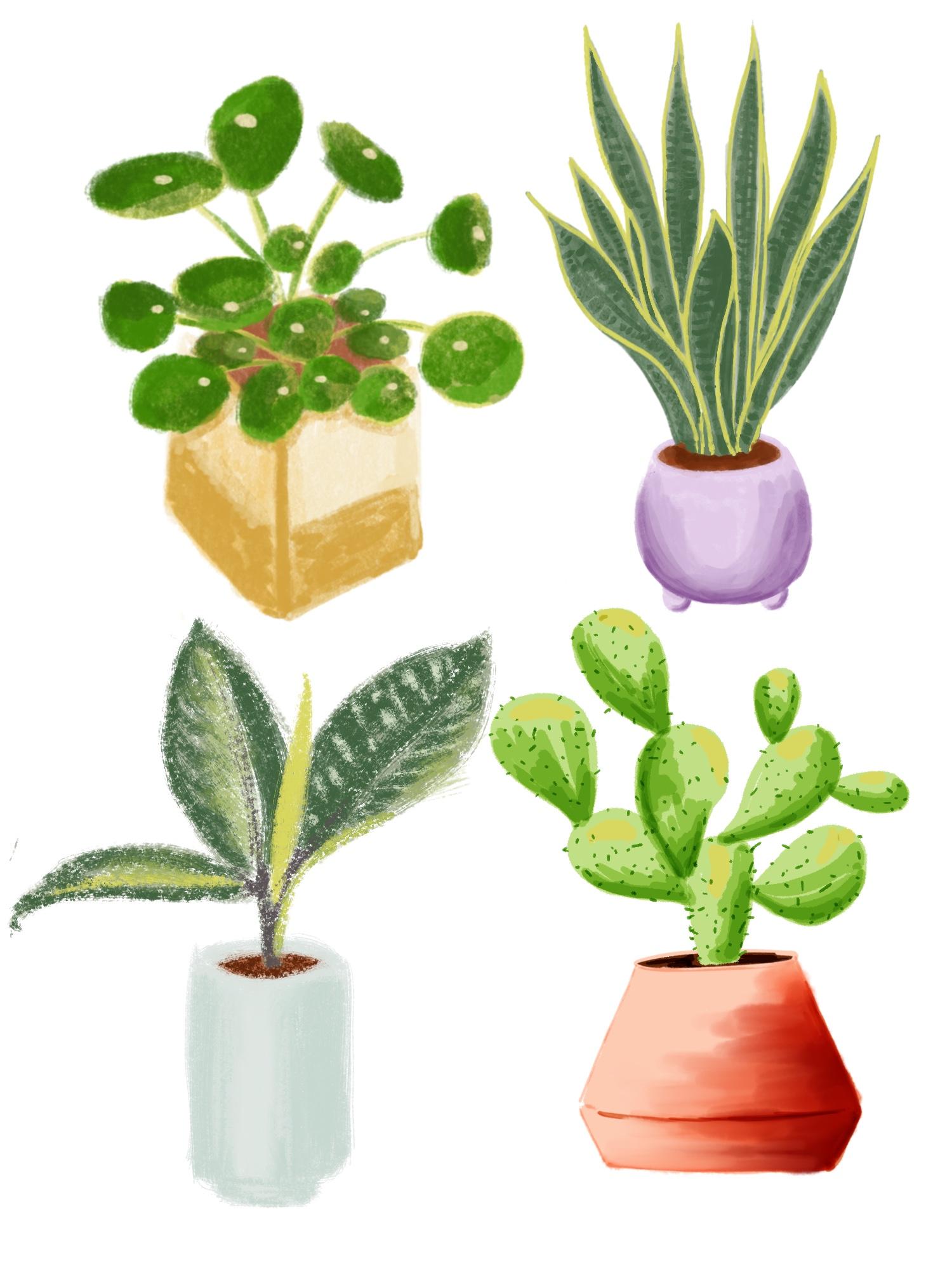 Loose and Lovely - image 1 - student project