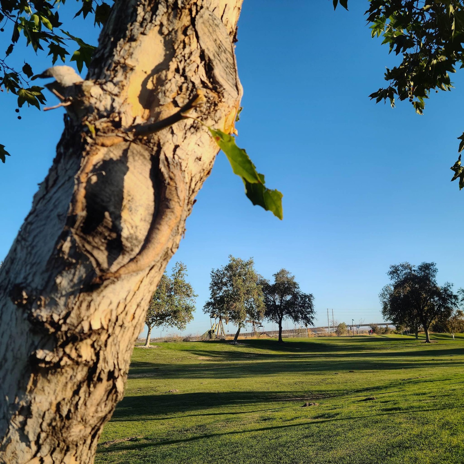 Park Walk - image 12 - student project