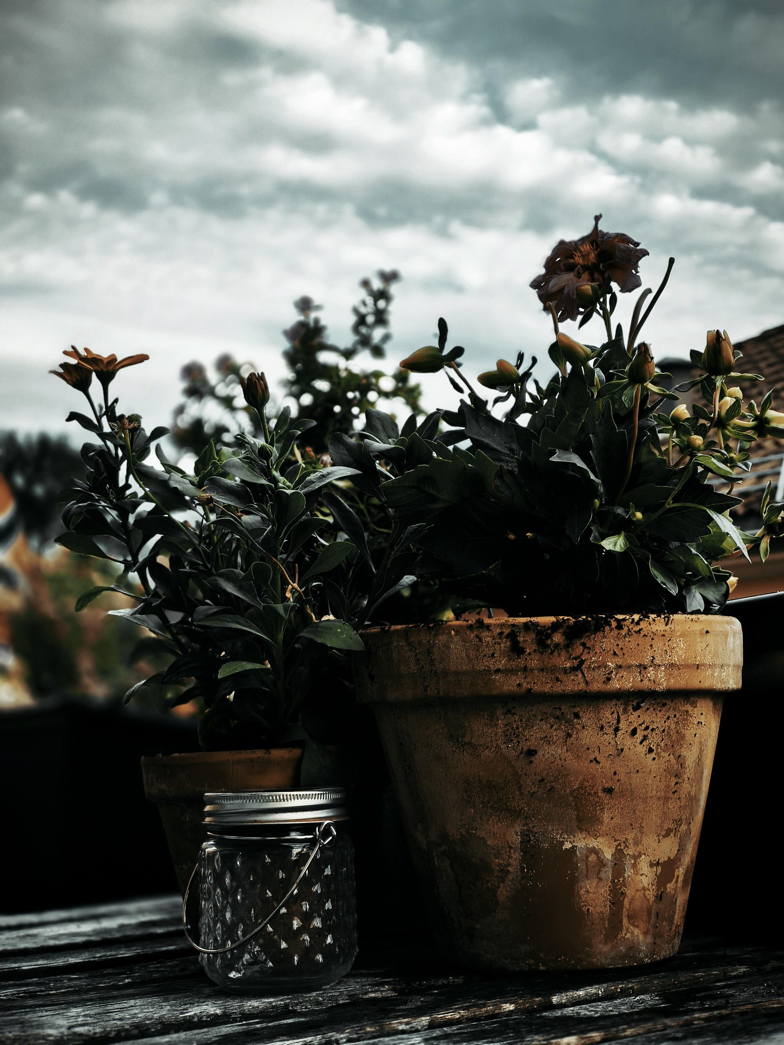 Exploring dark editing styles - image 2 - student project