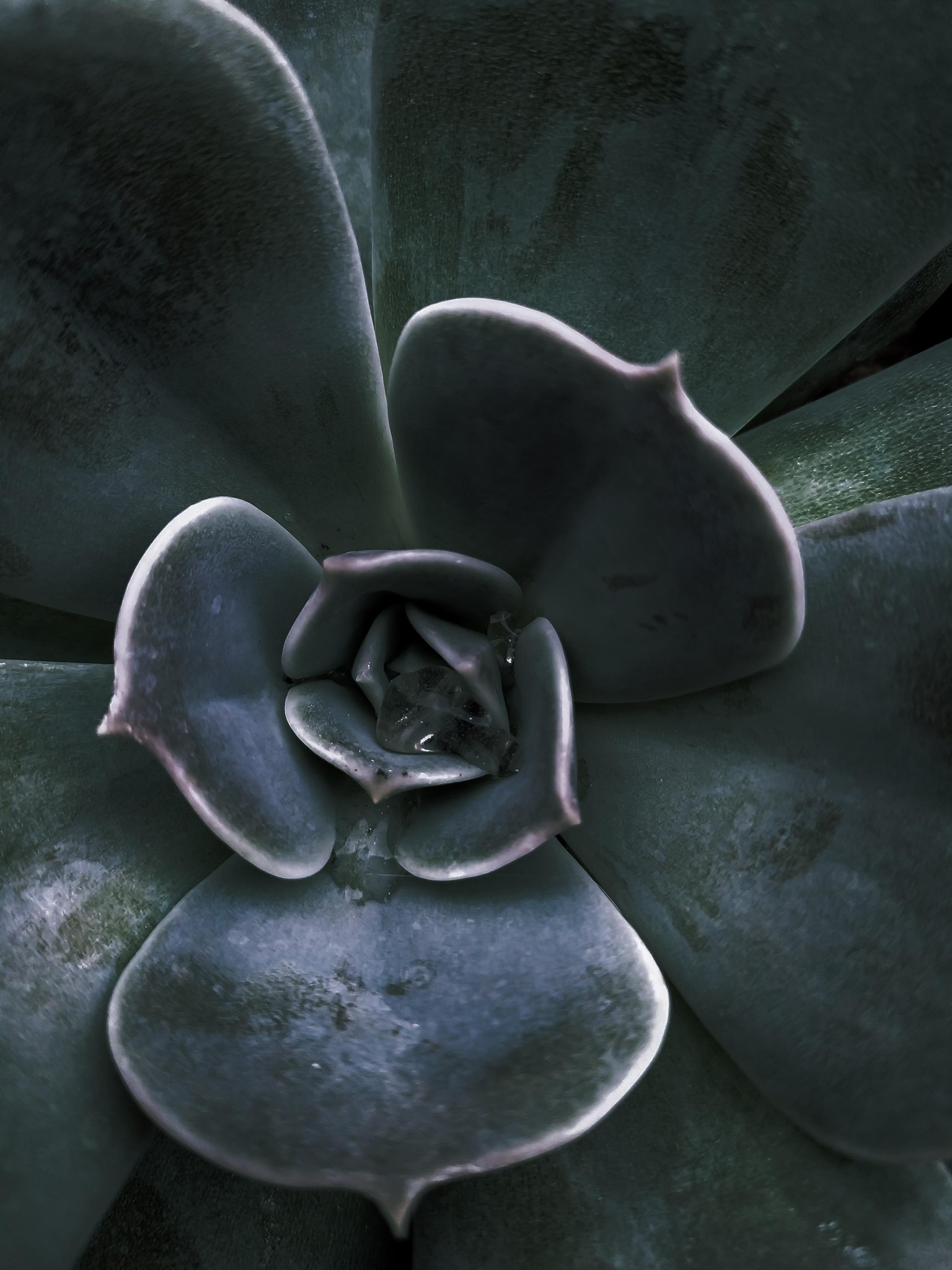 Exploring dark editing styles - image 1 - student project