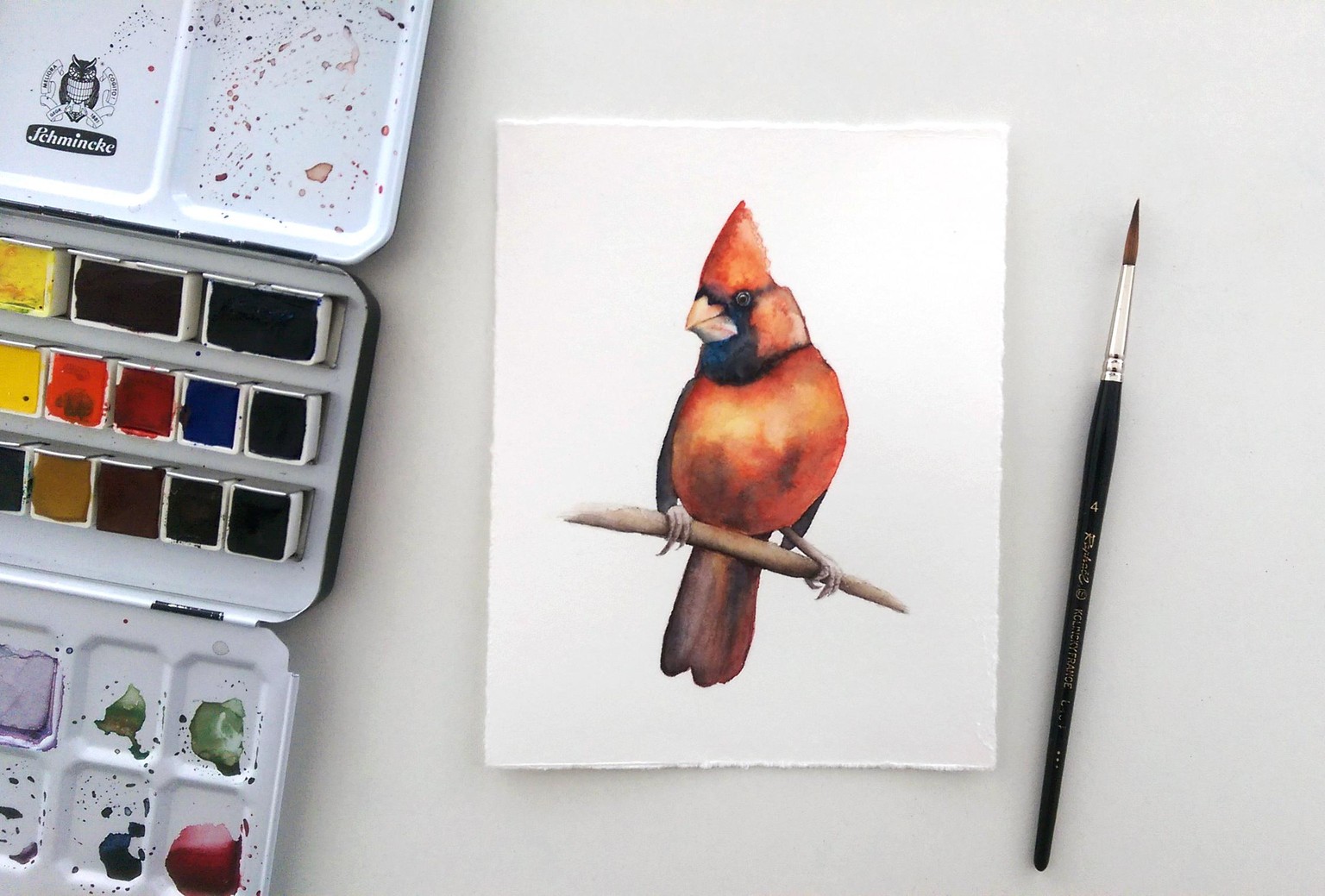 Watercolor Cardinal - image 1 - student project