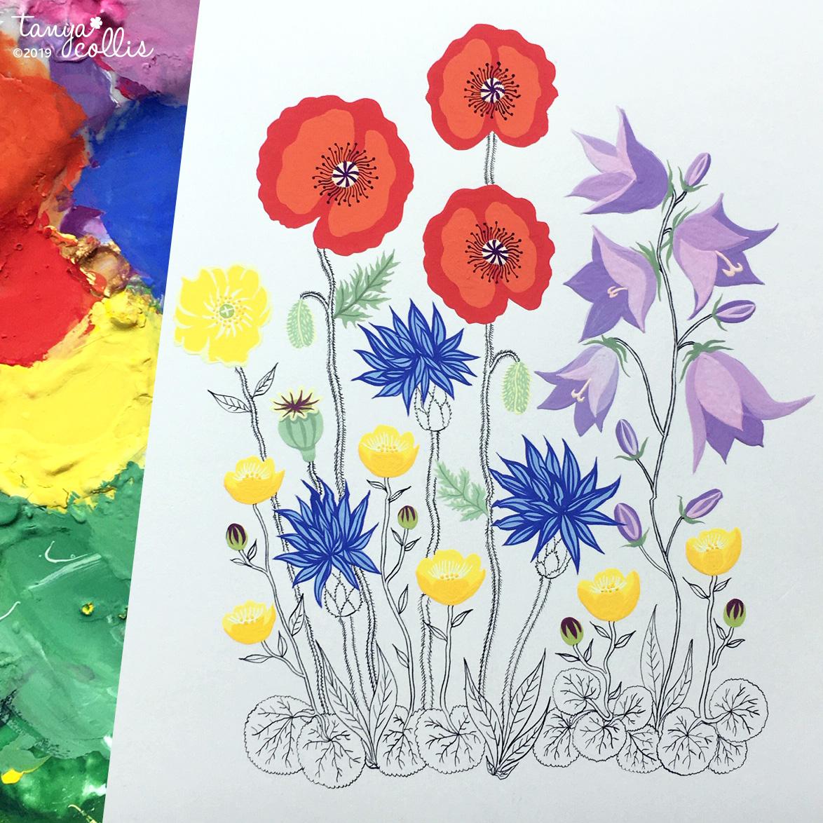 Wild flower meadow - image 1 - student project