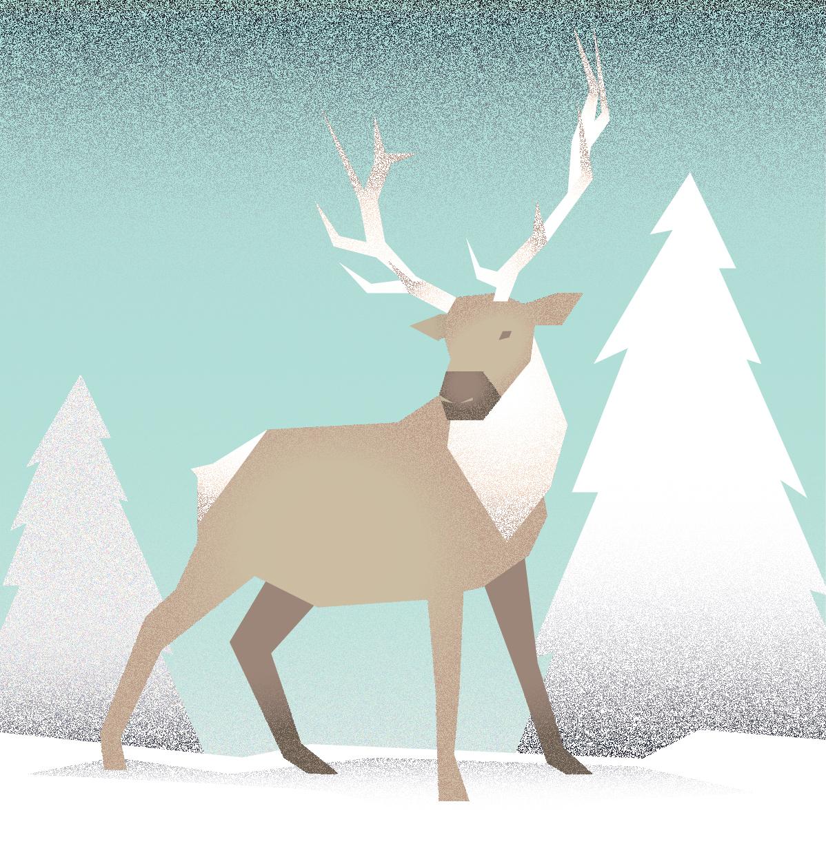 Elk - image 3 - student project