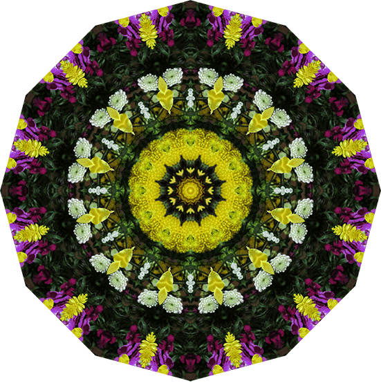 Kaleidoscopes for Lunch - image 1 - student project