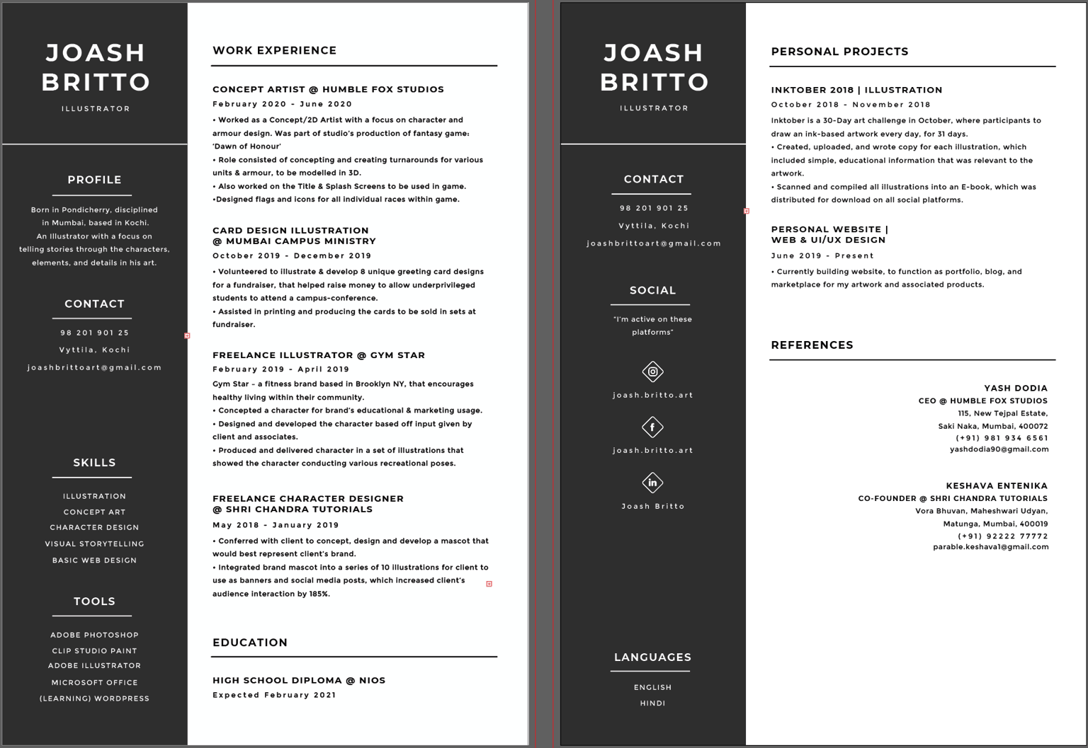 Illustration Resume for review - image 1 - student project