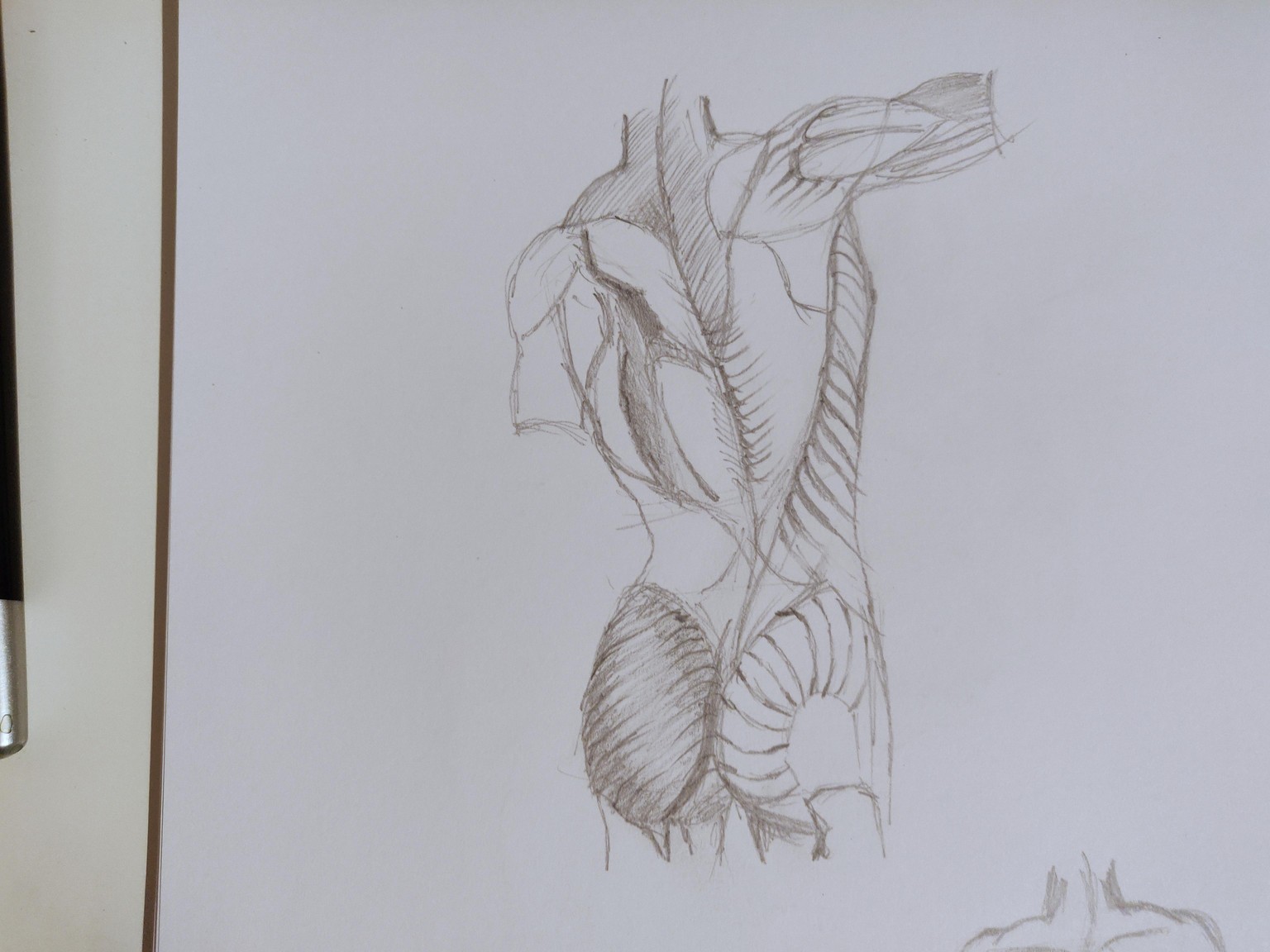 Male - image 1 - student project
