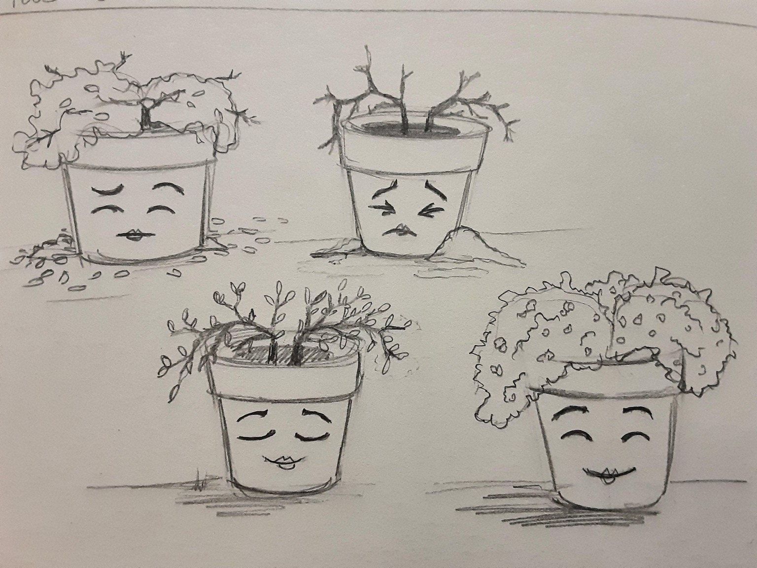 Petits pots - image 1 - student project
