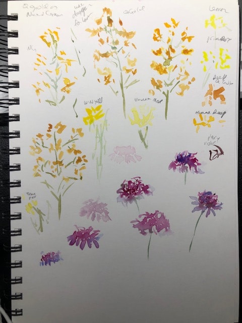 suggestions welcome! - image 1 - student project