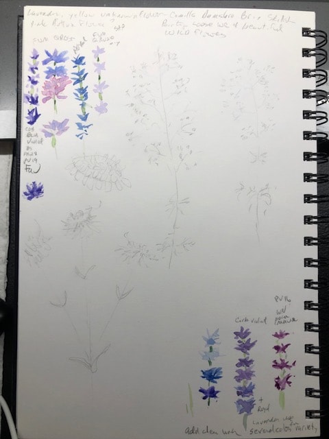 suggestions welcome! - image 3 - student project