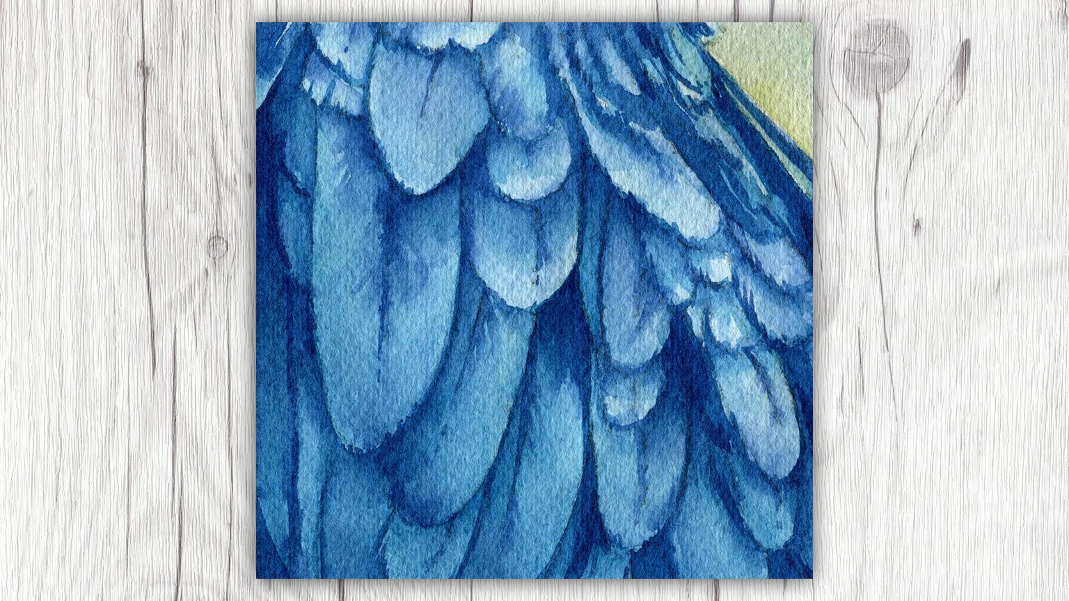 Fur, Feathers, and Scales - Oh my! - image 6 - student project