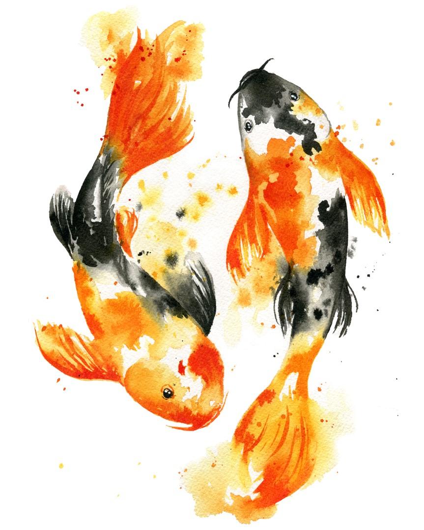 Watercolor Koi Fish - image 1 - student project