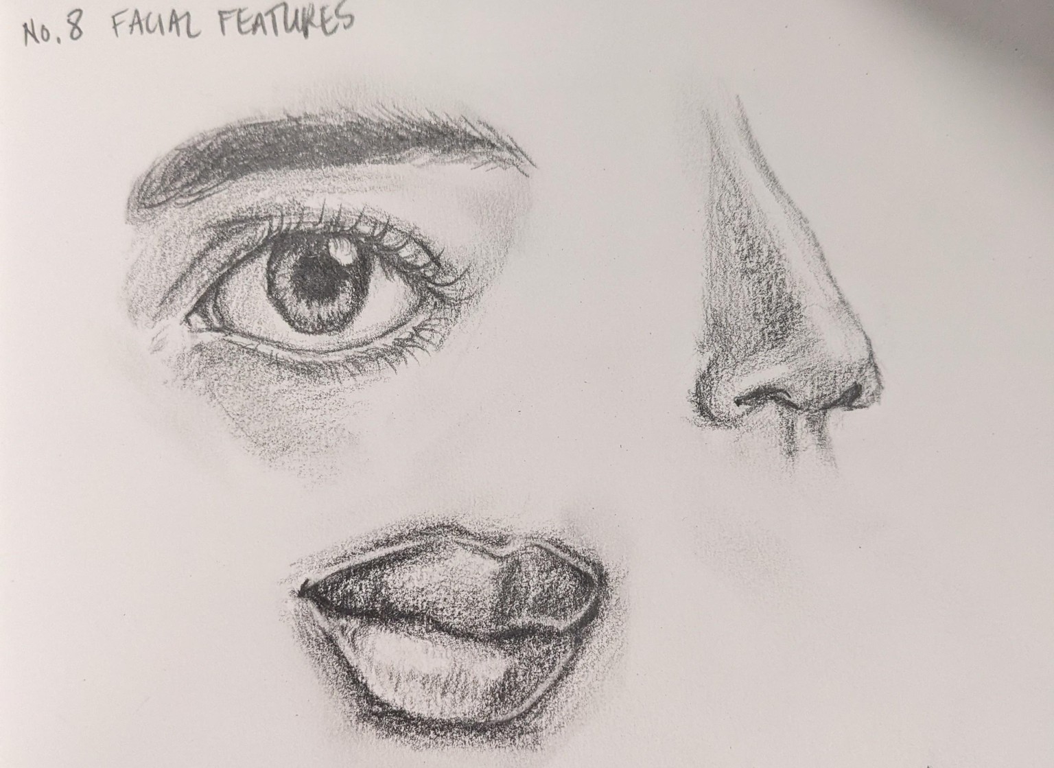 Portrait Studies - image 2 - student project