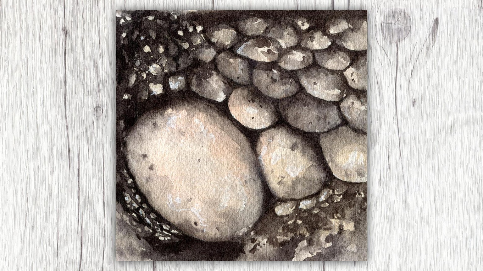 Fur, Feathers, and Scales - Oh my! - image 7 - student project