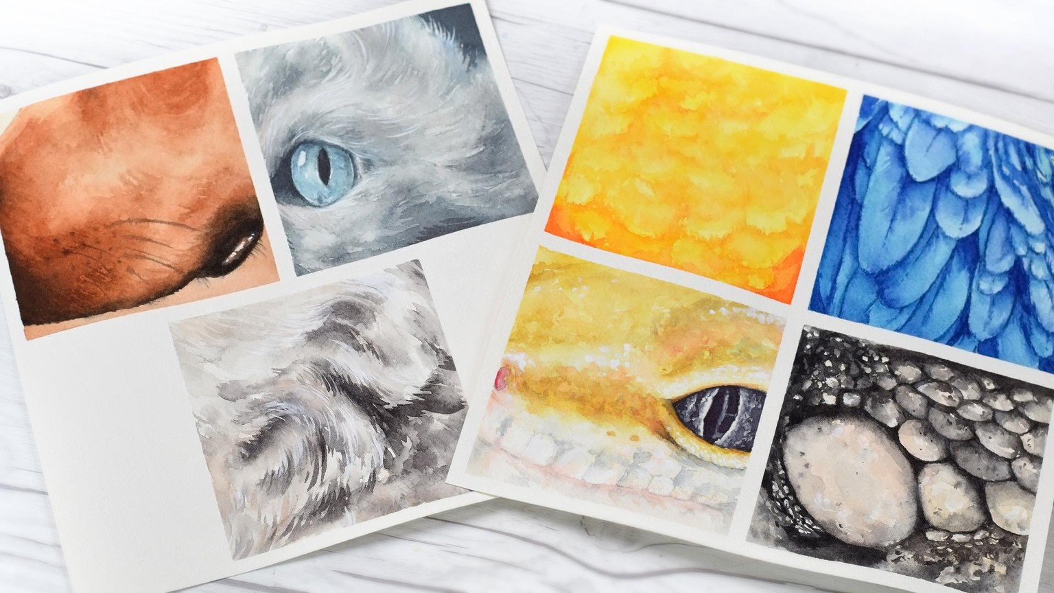 Fur, Feathers, and Scales - Oh my! - image 4 - student project