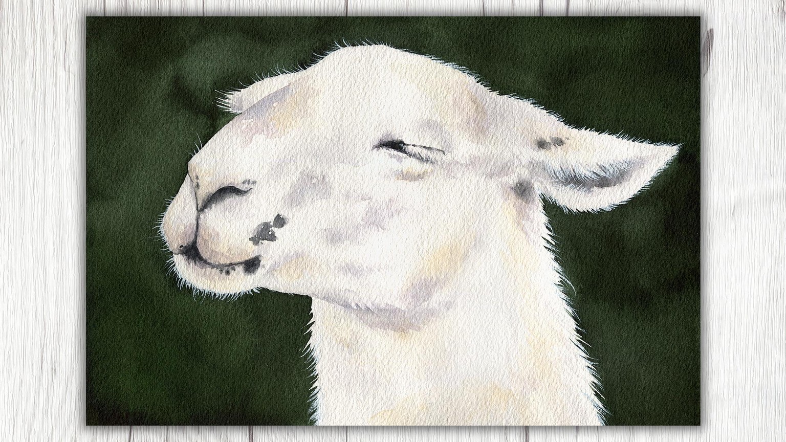 White Animals in Watercolor - image 1 - student project