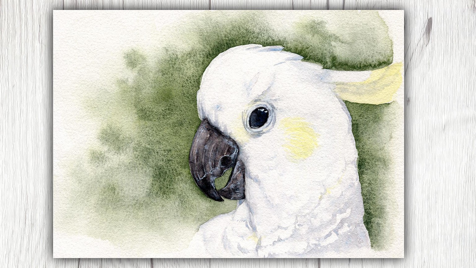 White Animals in Watercolor - image 5 - student project