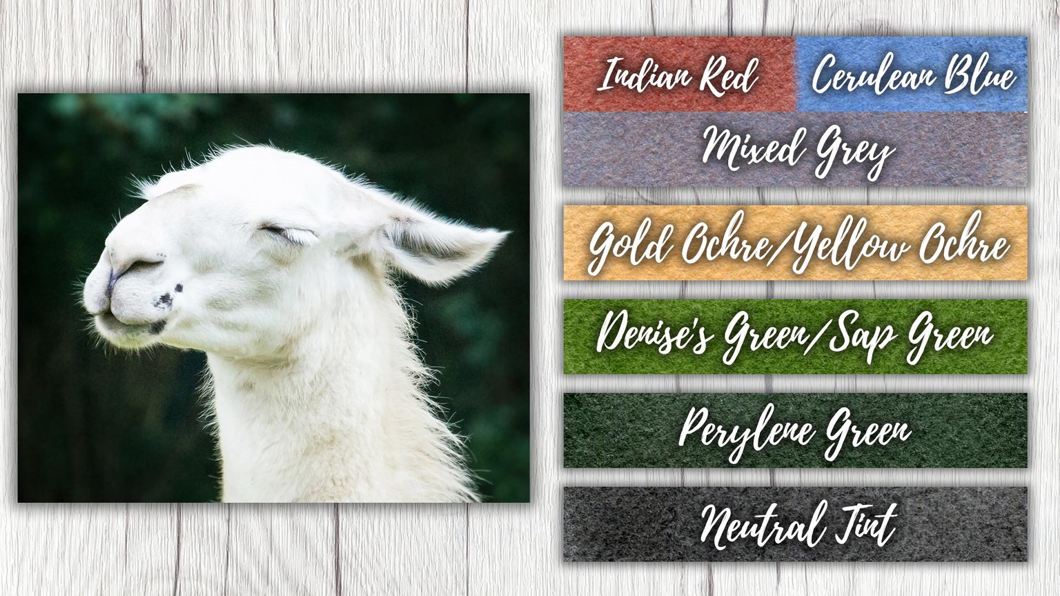 White Animals in Watercolor - image 2 - student project