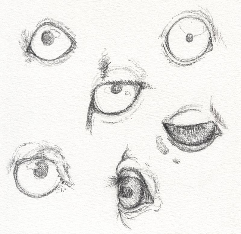 My Animal Eyes - image 1 - student project