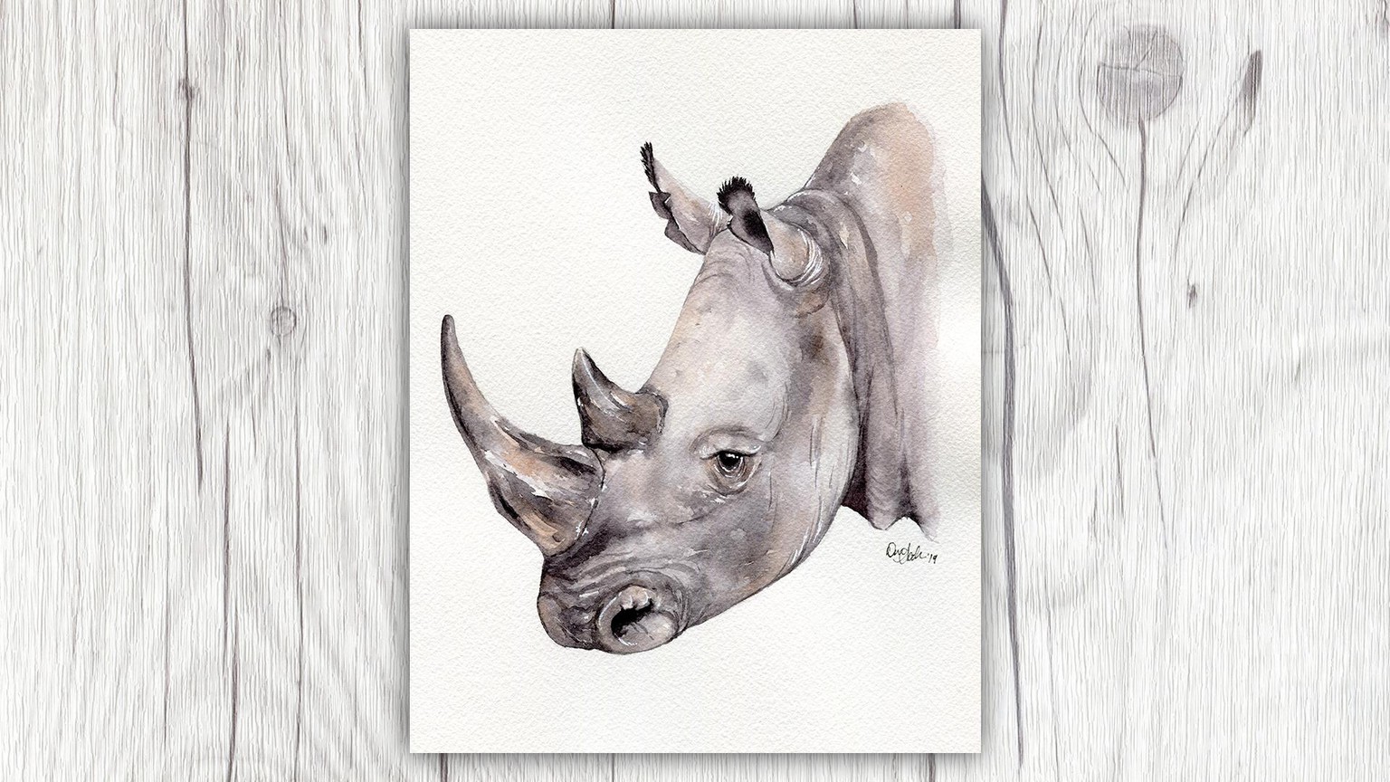 Rhinoceros Portrait - image 1 - student project