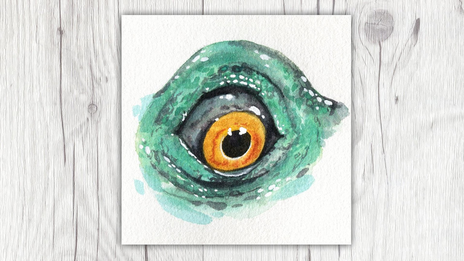 My Animal Eyes - image 4 - student project