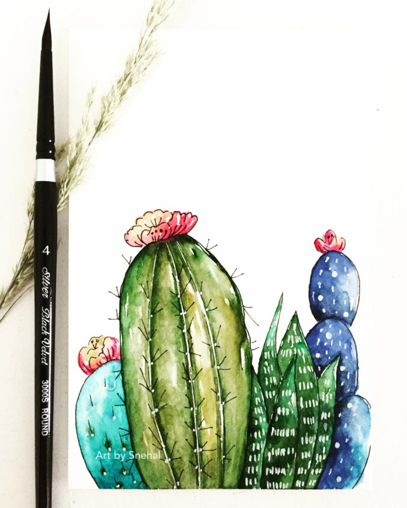 Cacti Illustration - image 1 - student project