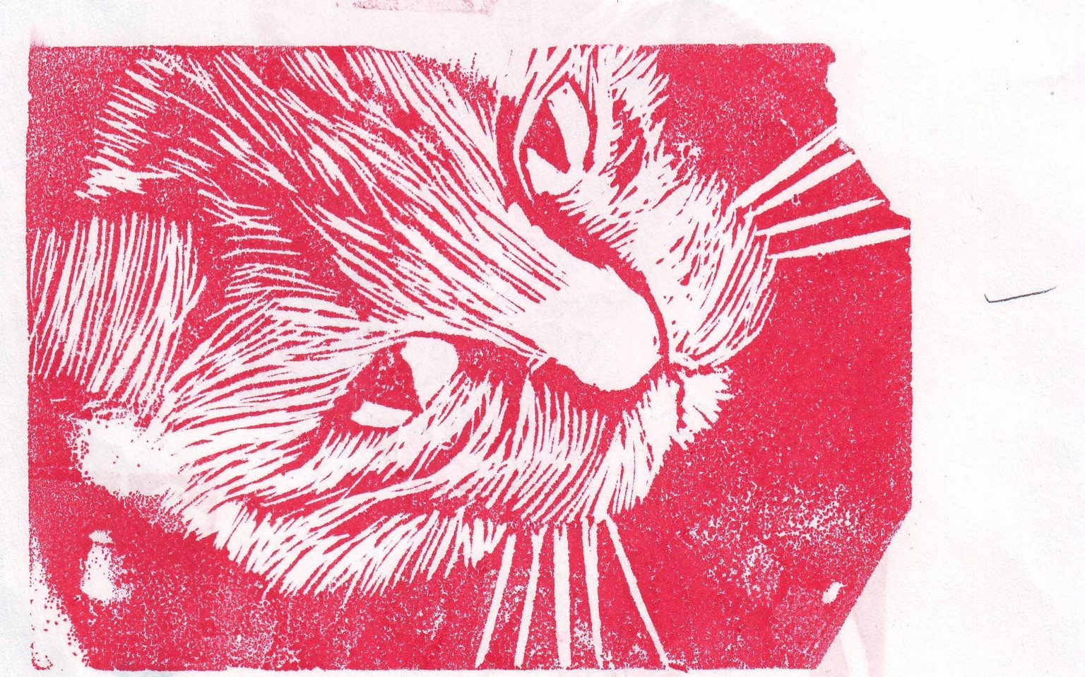 Quincy Cat - image 4 - student project