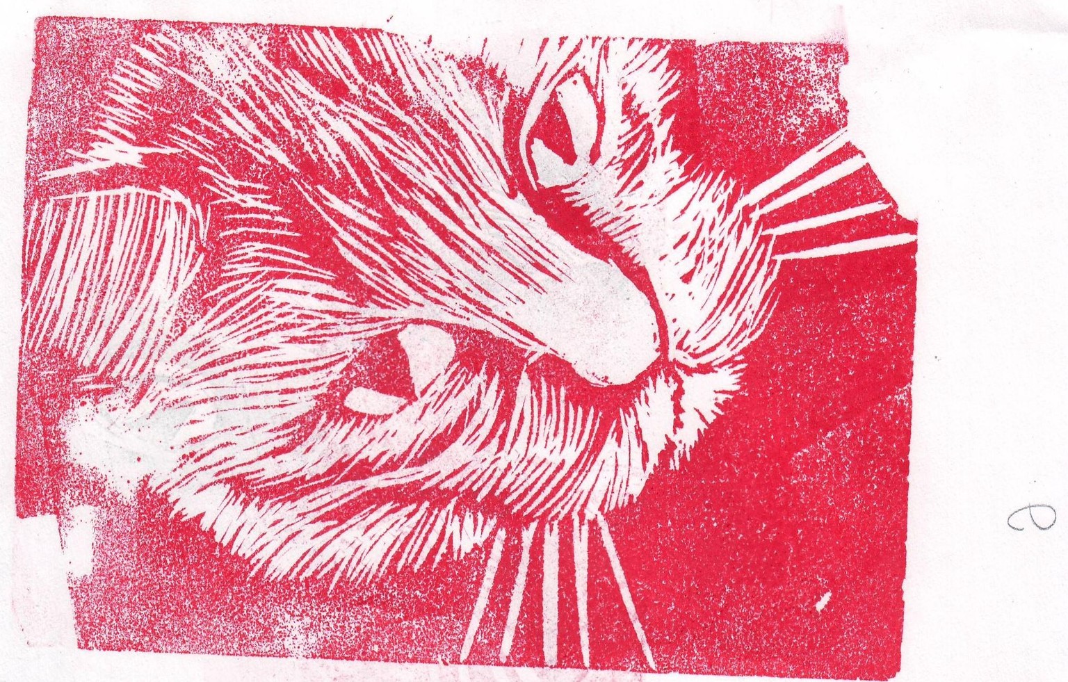Quincy Cat - image 5 - student project