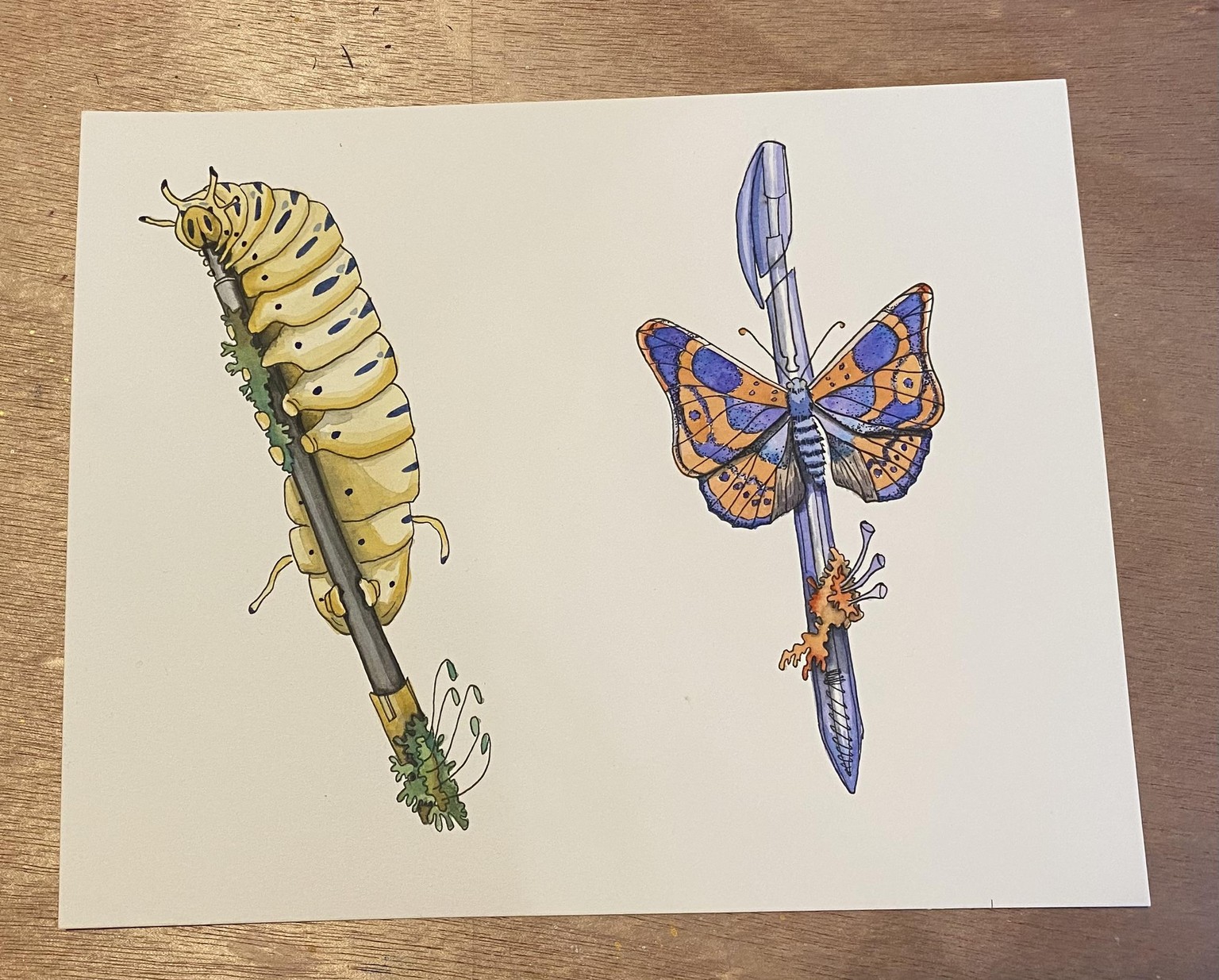 Caterpillar and Butterfly Practice - image 1 - student project