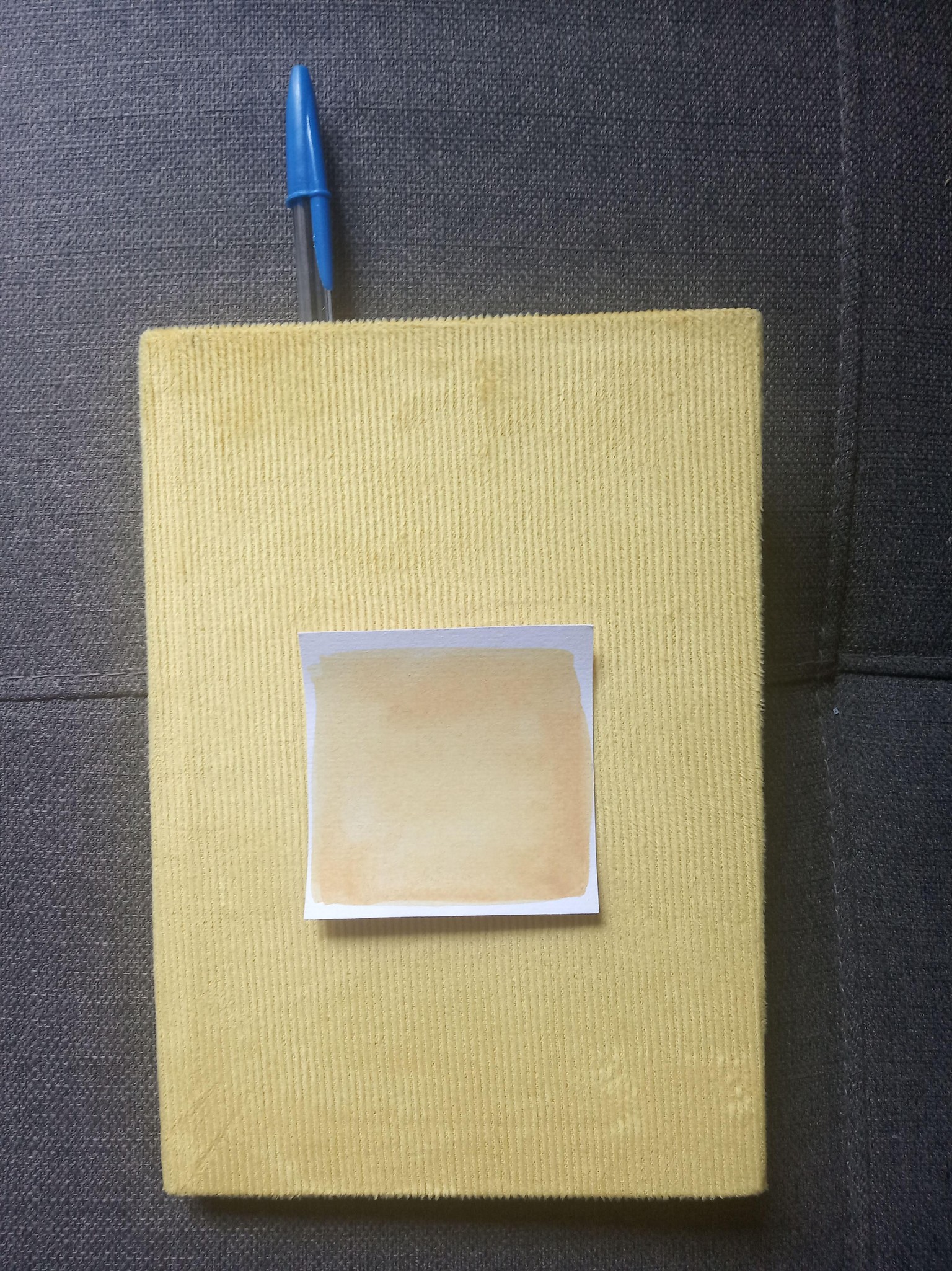 Quarantine Color Chips - image 4 - student project