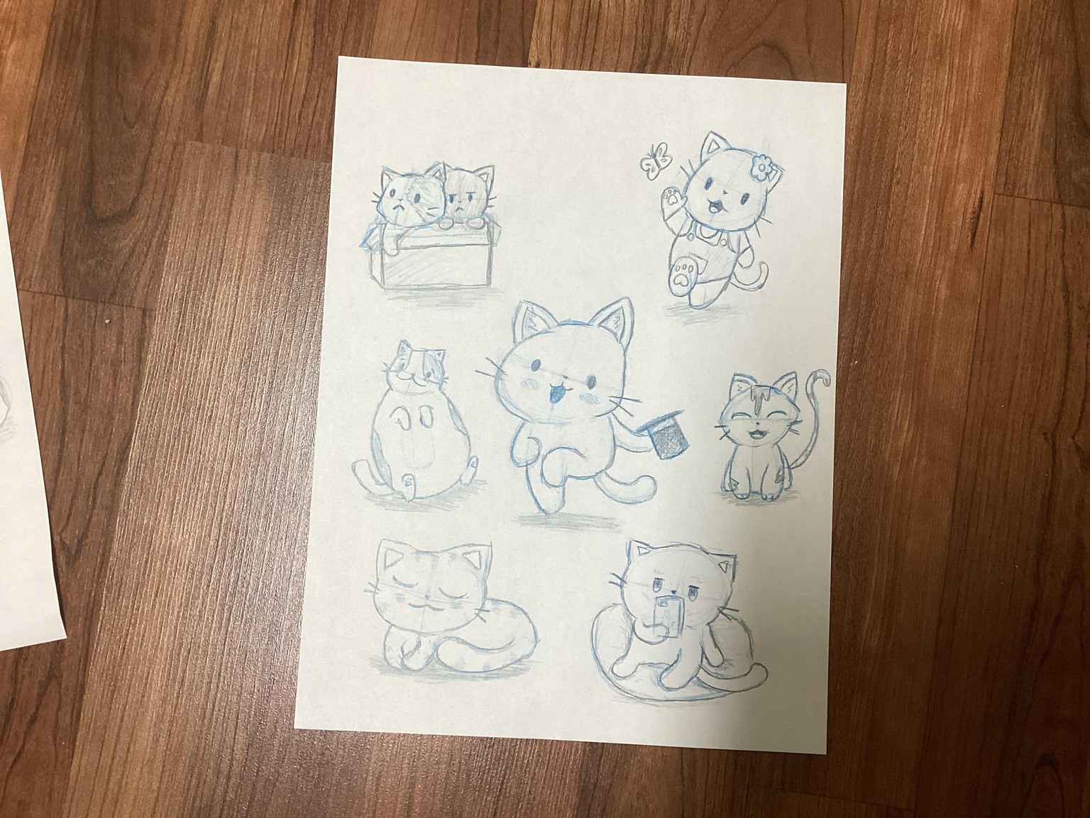 Kitty cats - image 1 - student project