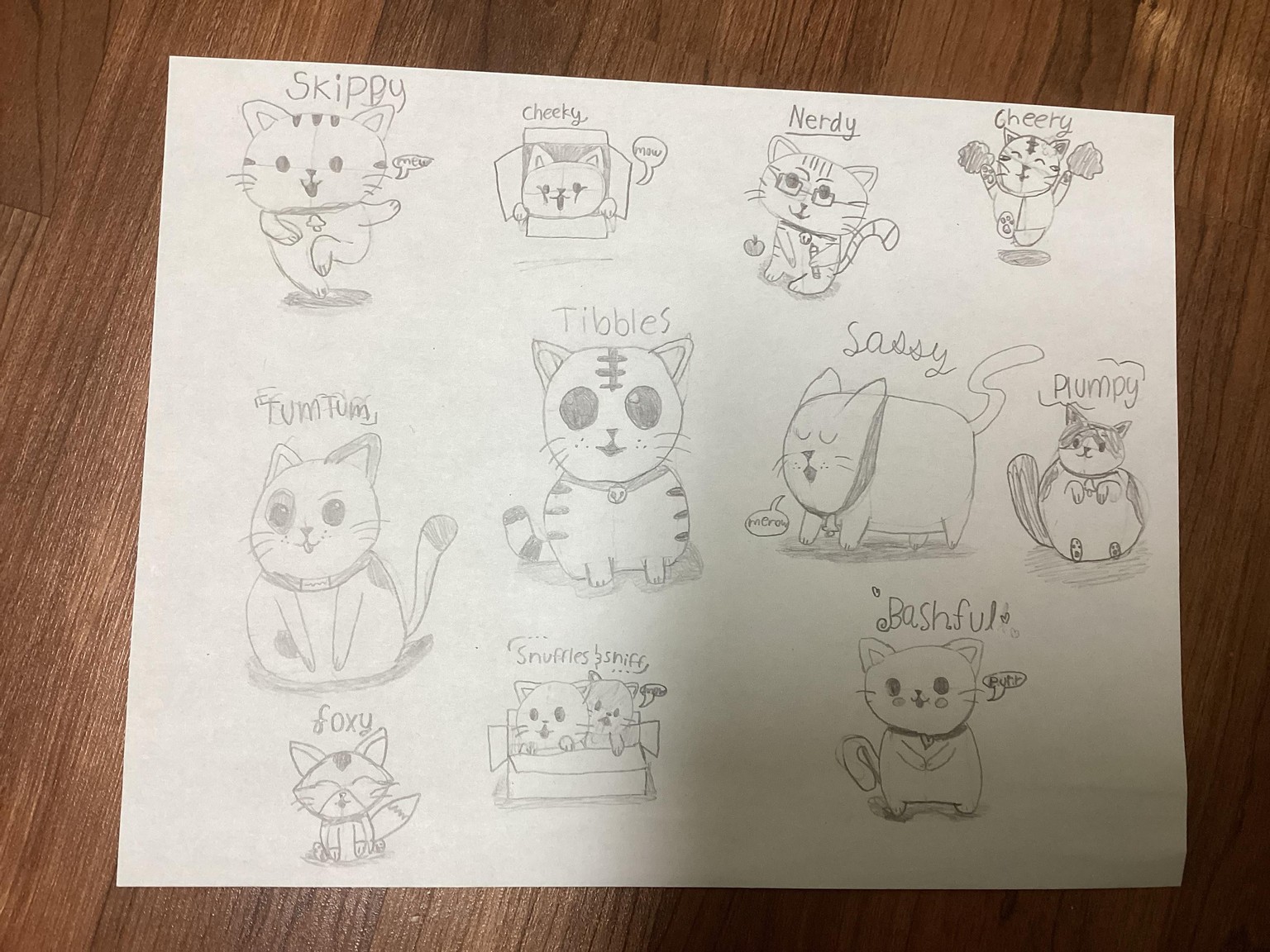 Kitty cats - image 2 - student project